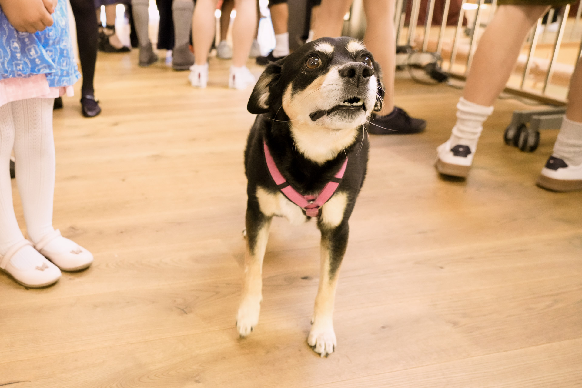 Ganztagesbegleitung Saskia & Tobi – Bild 49